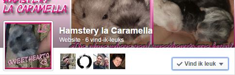 Like ons ook op Facebook!